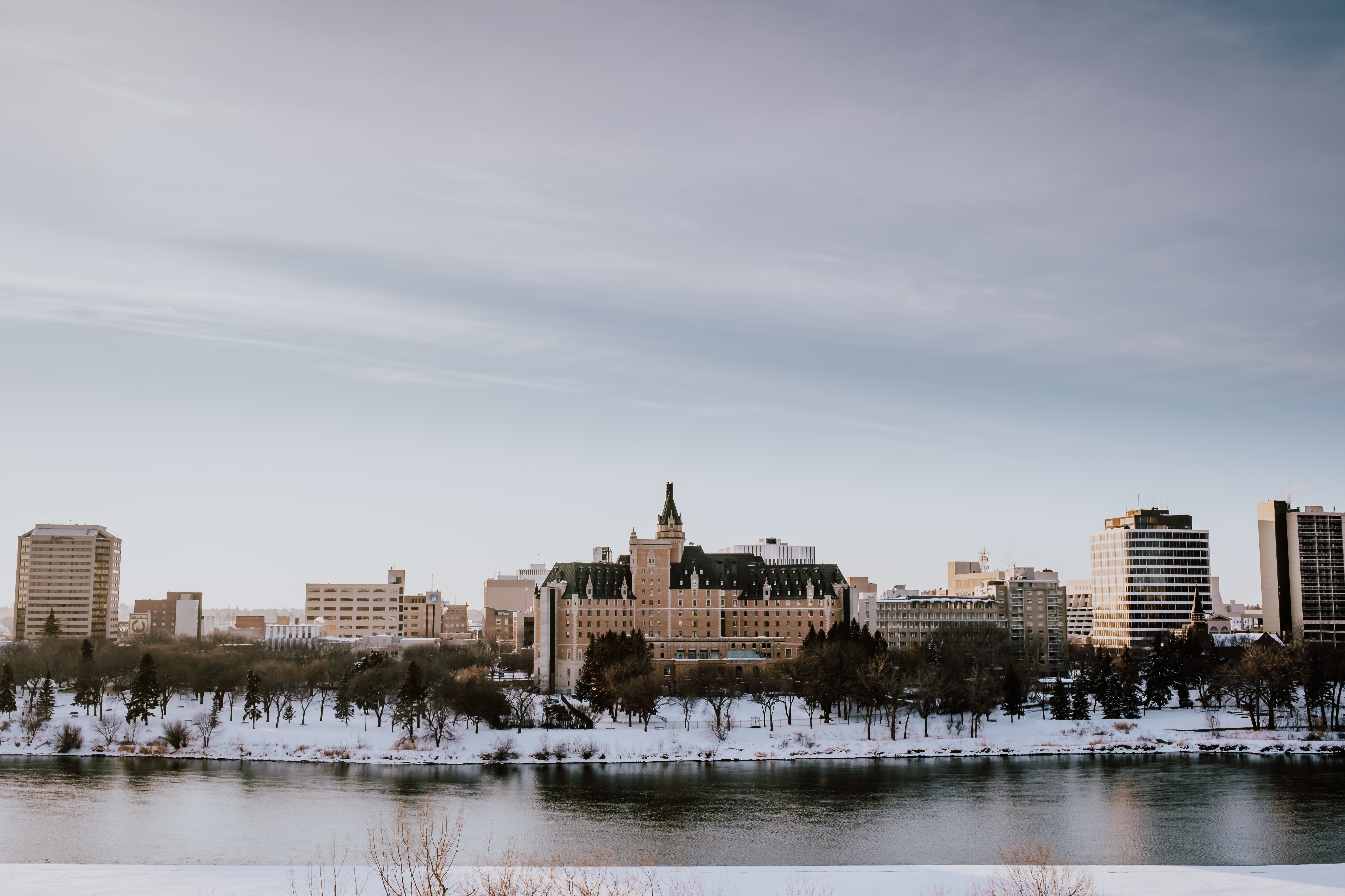 buy magic mushroom in Saskatoon